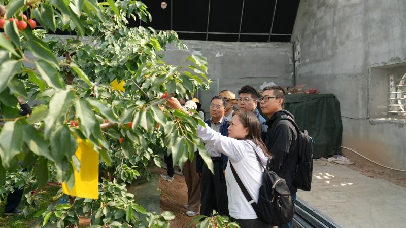 7f7224ba4df24fa7aeeca5c466d66fc8.jpg 7f7224ba4df24fa7aeeca5c466d66fc8.jpg