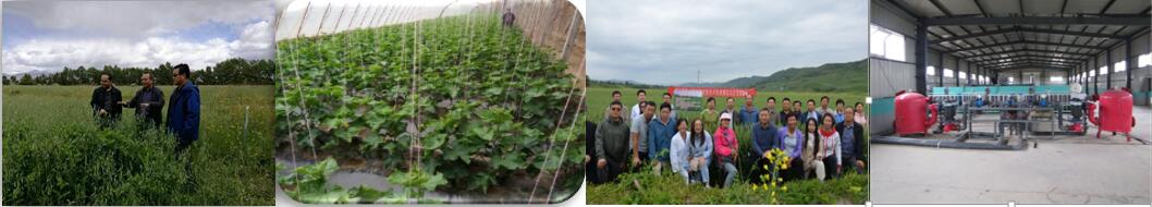 664244b126c0410ea9550a0feb947d52.jpg 展示.jpg