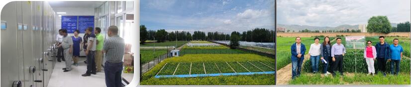 80652ff7a542467caacb61bc7f790c42.jpg 1.jpg