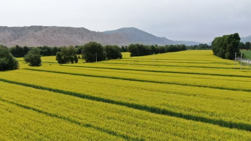 37863431832544f093772736b17f03b7.jpg 37863431832544f093772736b17f03b7.jpg