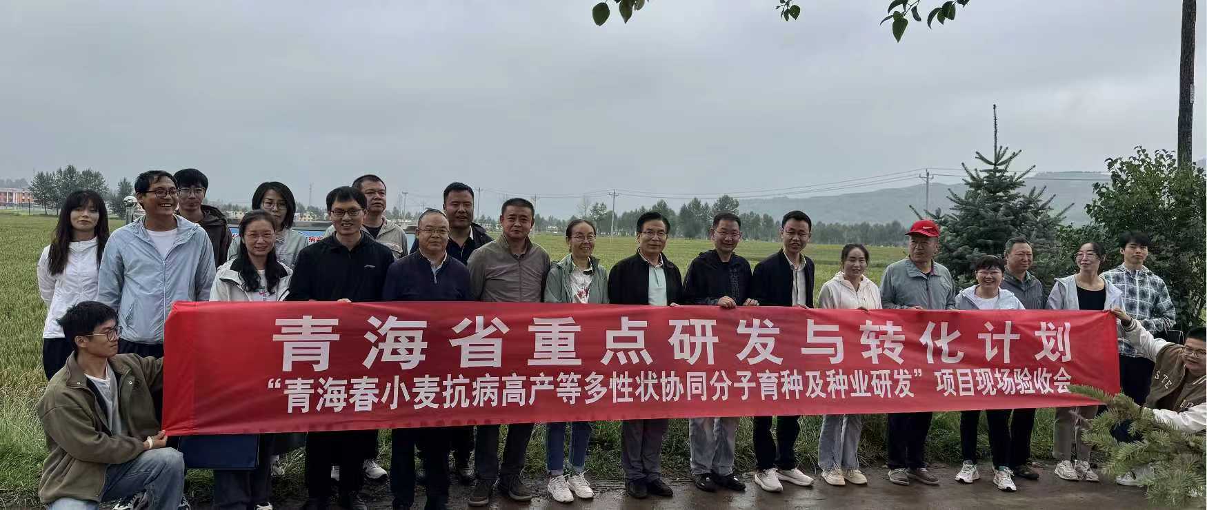 3afece0afb2a4d60b6760b3a43b1f489.jpg 3afece0afb2a4d60b6760b3a43b1f489.jpg