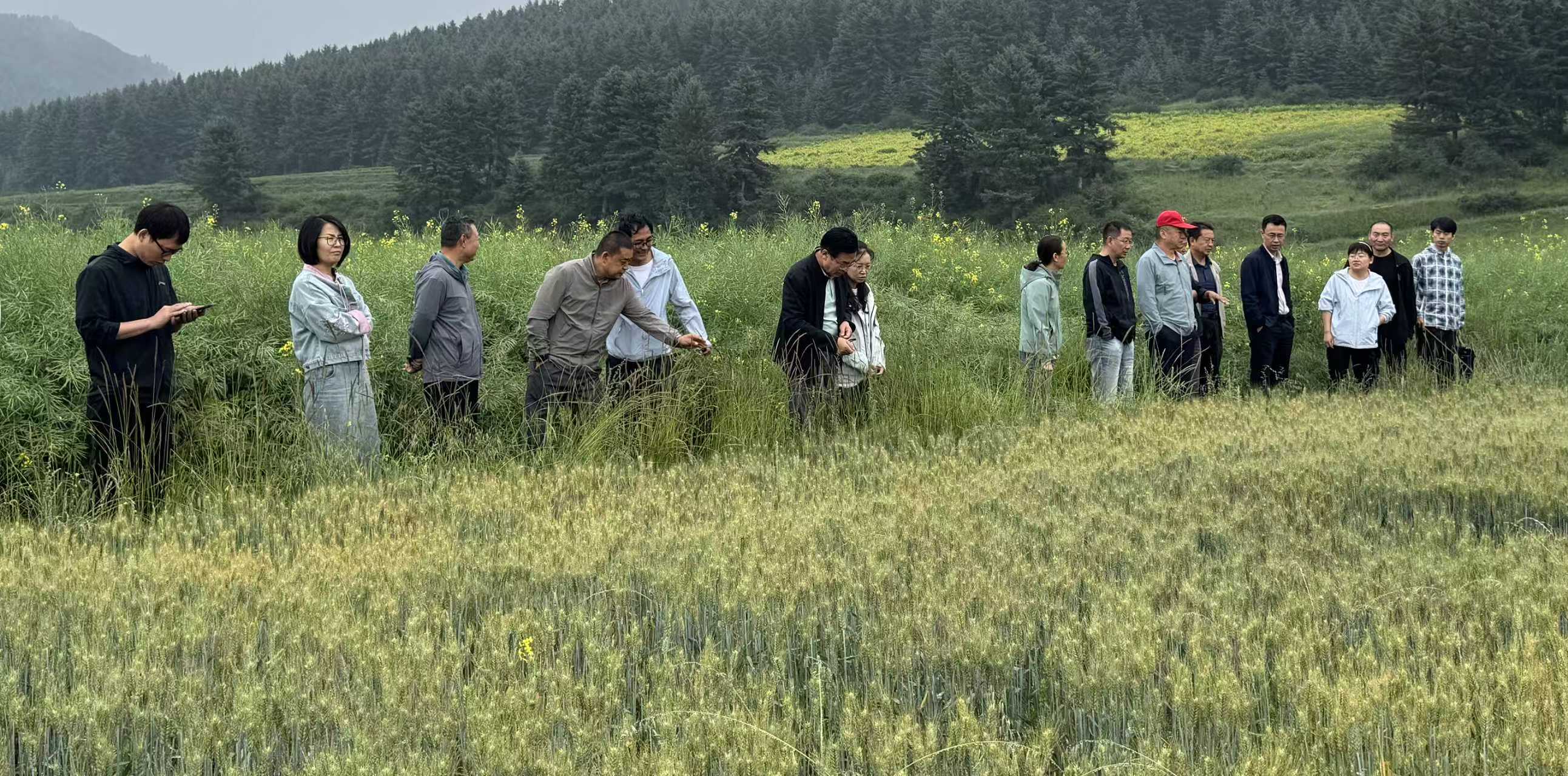 623c16a4563e44e5b034e66dd6aad8bf.jpg 623c16a4563e44e5b034e66dd6aad8bf.jpg