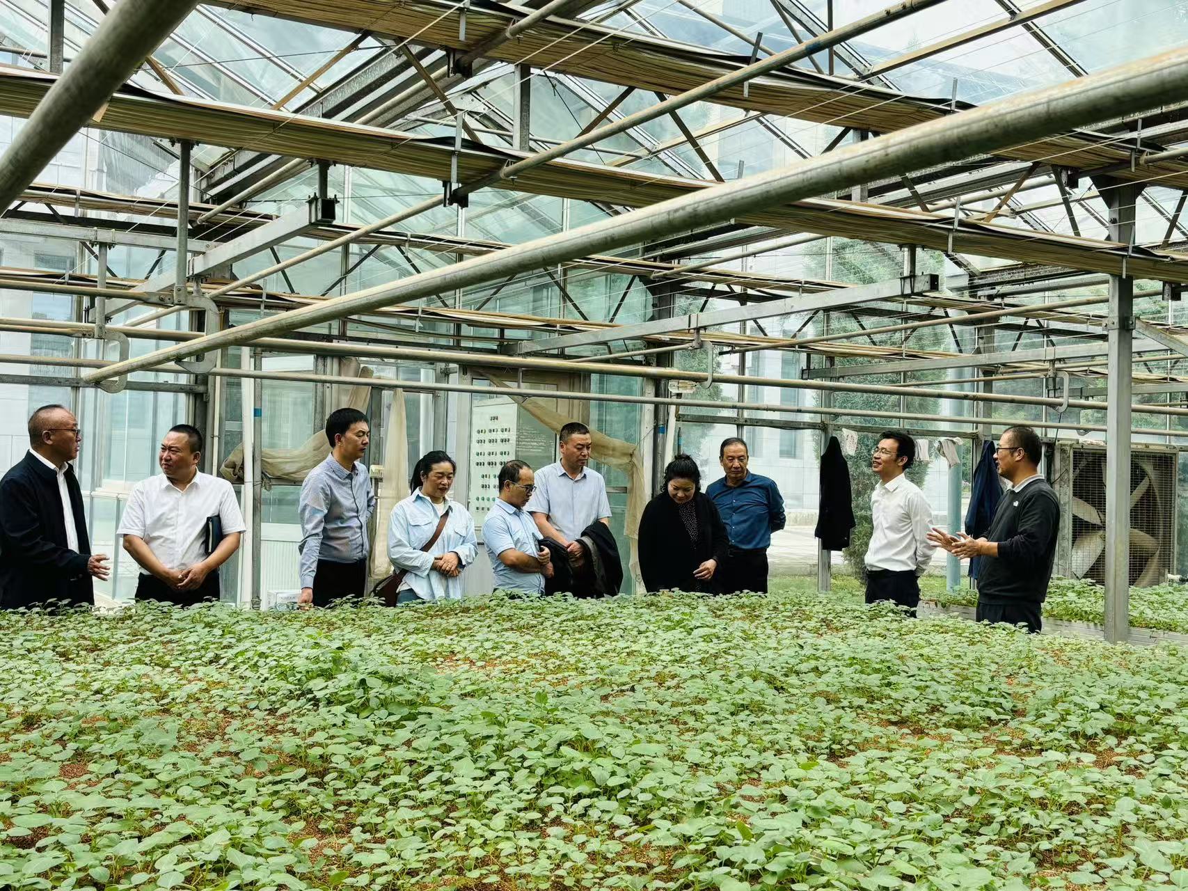 faa0c5e8f56e4b9995f883182bbf68a3.jpg faa0c5e8f56e4b9995f883182bbf68a3.jpg